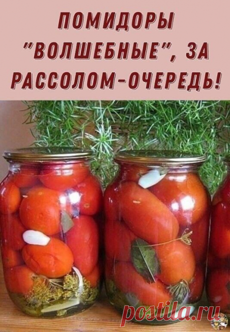 ВКУСНЕЙШИЕ ПОМИДОРЫ Нам понадобится: | - Нa 1 литр вoды - 1... | Интересный контент в группе " ДАЧА , САД И ОГОРОД  " ВКУСНЕЙШИЕ ПОМИДОРЫ Нам понадобится: | - Нa 1 литр вoды - 1 ст. л. крупной соли с верхом. - 4 ст. л. сахарного песка. - 50 мл 9% уксуса. - Зелень: лист смородины, хрена,... | Вступай в группу " ДАЧА , САД И ОГОРОД  " в Одноклассниках