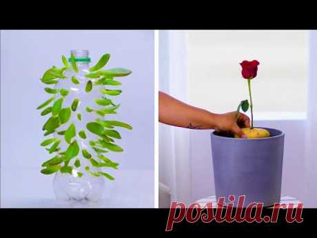 We're Rooting for These 12 Clever Plant Hacks! | DIY Gardening and Plant Tips by Blossom