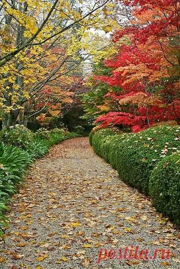 Pinterest