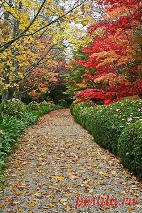 Pinterest