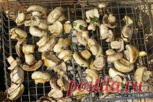 ЖАРЕНЫЕ ГРИБЫ НА КОСТРЕ |