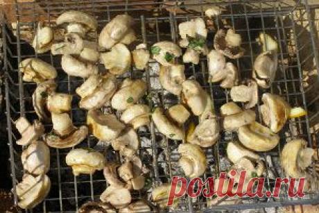 ЖАРЕНЫЕ ГРИБЫ НА КОСТРЕ |