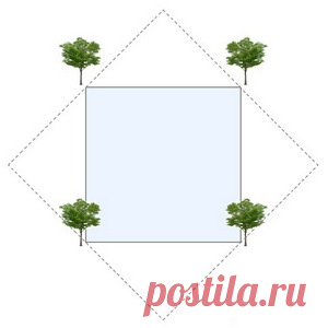 Загадки