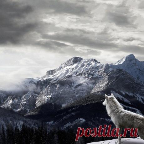 Интересные новости