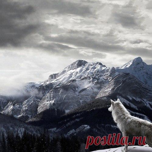 Интересные новости