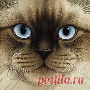 Рисунки карандашом , как вам ? Оцените)))...