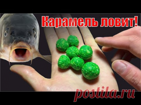Карп сходит с ума от КАРАМЕЛЬНОЙ приманки - YouTube