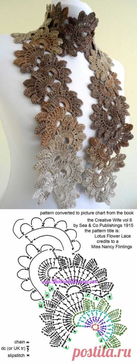 Women Scarf Shawls