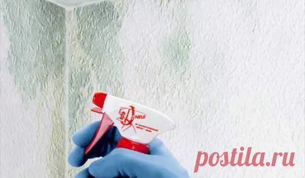 Как избавиться от грибка в ванной (на плитке, швах, потолке) народными и химическими средствами