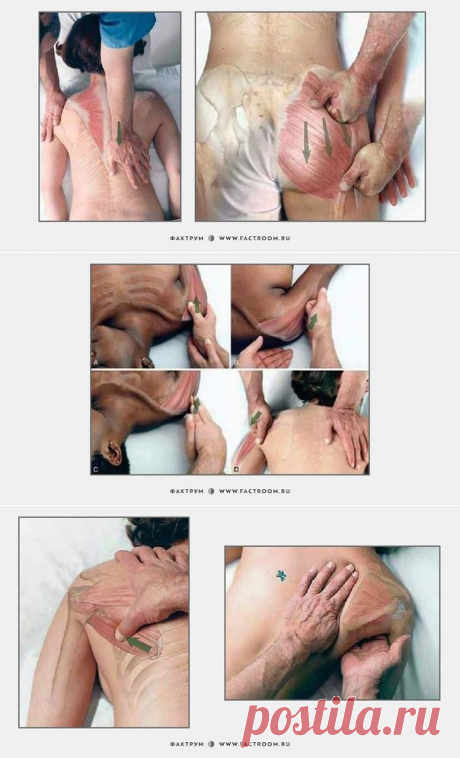 Как делать массаж: 7 картинок для понимания смысла движений рук