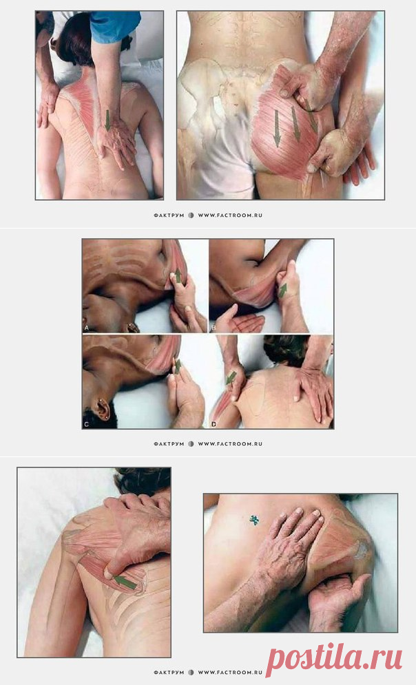 Как делать массаж: 7 картинок для понимания смысла движений рук