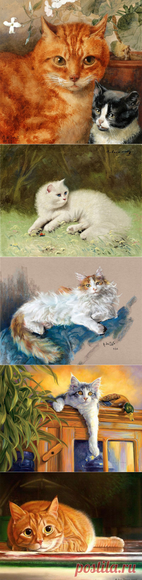 Звук мур-р-р-чащего Кота - Самый мой любимый звук...
