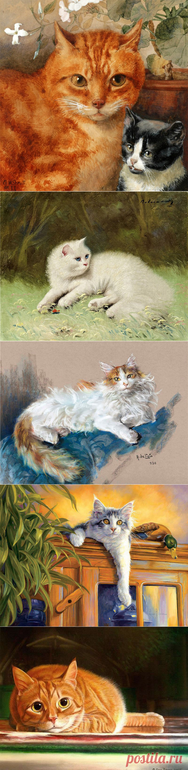 Звук мур-р-р-чащего Кота - Самый мой любимый звук...