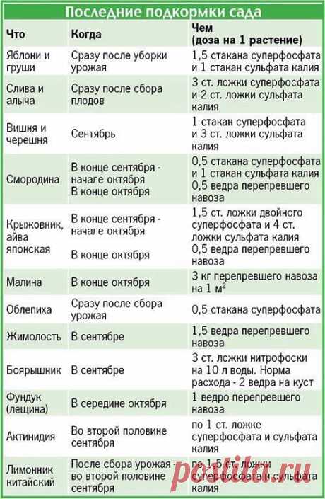 Последние подкормки сада перед зимой.