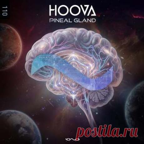 Hoova - Pineal Gland | Progonlymusic Hoova - Pineal Gland. BPM: 125. Key: Fm. Listen new music on Progonlymusic.