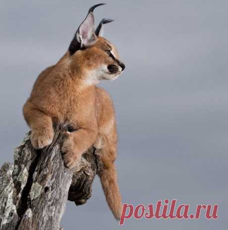 Интересные новости