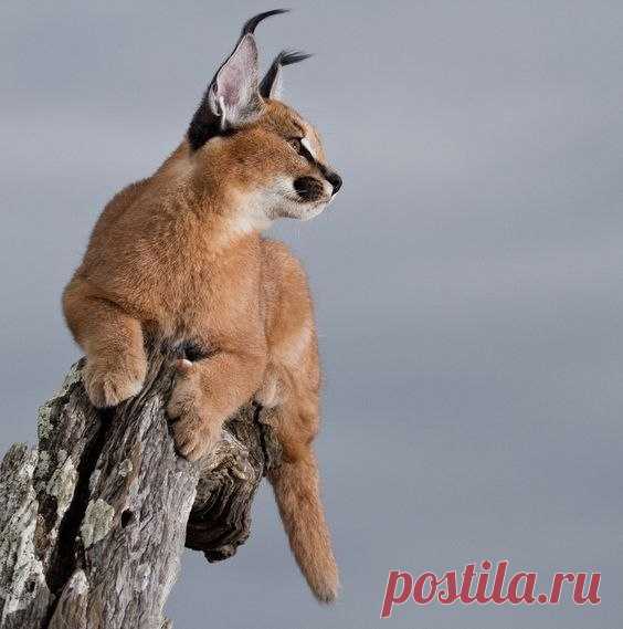 Интересные новости