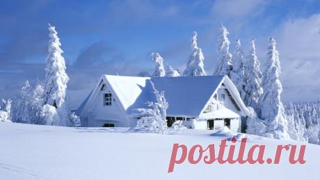 Дачные работы января — 6 соток