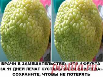 ЭТИ 4 ФРУКТА ЗА 11 ДНЕЙ ЛЕЧАТ СУСТАВЫ РАЗ И НАВСЕГДА ВРАЧИ В ЗАМЕШАТЕЛЬСТВЕ: «ЭТИ 4 ФРУКТА ЗА 11 ДНЕЙ ЛЕЧАТ СУСТАВЫ РАЗ И НАВСЕГДА!» Потратив 1,5 месяца на изучение всей доступной информации о лечении и восстановлении суставов, я составил для себя список из пяти природных «бриллиантов», которые в разное время использовались для лечения Императорами, Царями, Генсеками, Йогами, Тибетскими монахами, Староверами и много ещё кем. Первое место занимает «Живица кедровая», или по-простому хвойная смола.