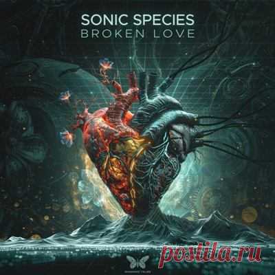 Sonic Species – Broken Love [Shamanic Tales]