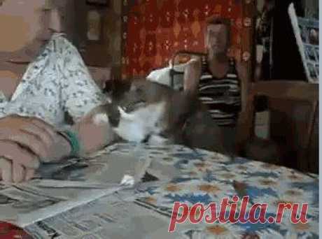 Одноклассники