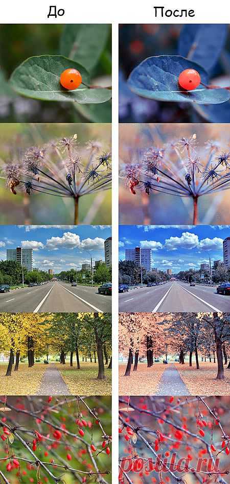 Ищем цветовой вариант для колоризации фото / Photoshop уроки и всё для фотошоп - новые уроки каждый день!