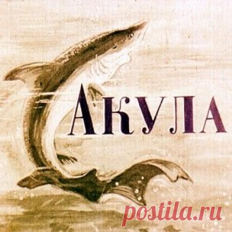 Акула, Толстой Л.Н. диафильм (1950) смотреть читать рассказ с картинками онлайн | Русская сказка Диафильм "Акула"; Категория: Сказки, рассказы, повести; Студия: Диафильм; Год выпуска: 1950; Цветность: Цветной; Вид диафильма: Рисованный; Кадров: 37; Номер: Д-161-50; Автор: Толстой Лев Ни