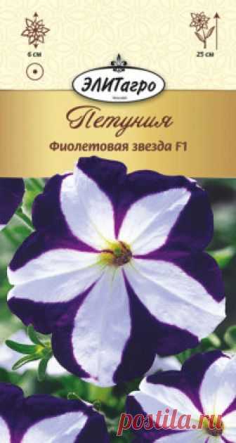Семена. Петуния 