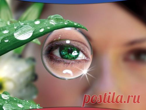 УЛУЧШАЕМ ЗРЕНИЕ. СМЕСЬ АКАДЕМИКА ФИЛАТОВА | Domosedkam.ru