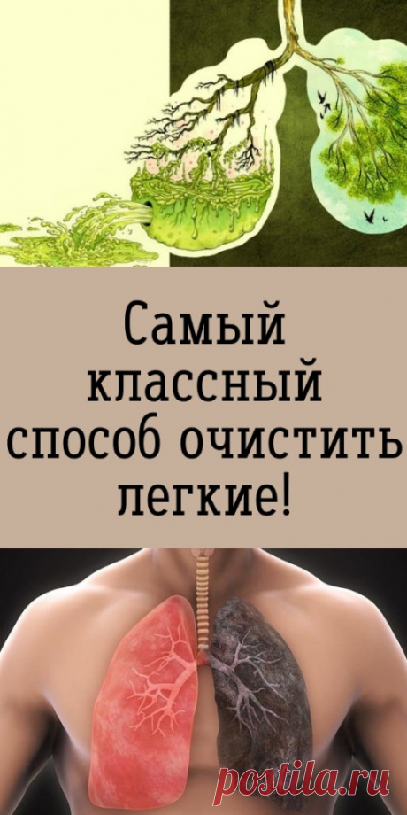 Самый классный способ очистить легкие! - My izumrud