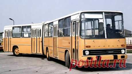 Венгерская "гармошка": за что мы будем помнить Ikarus 280