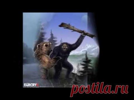 Реальные истории ,что снежный человек существует.Свидетельства  о встрече с снежным человеком/大腳怪