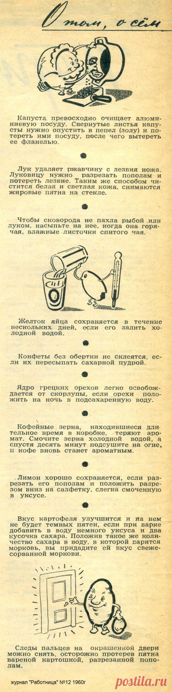 О том, о сем (советы хозяйке)