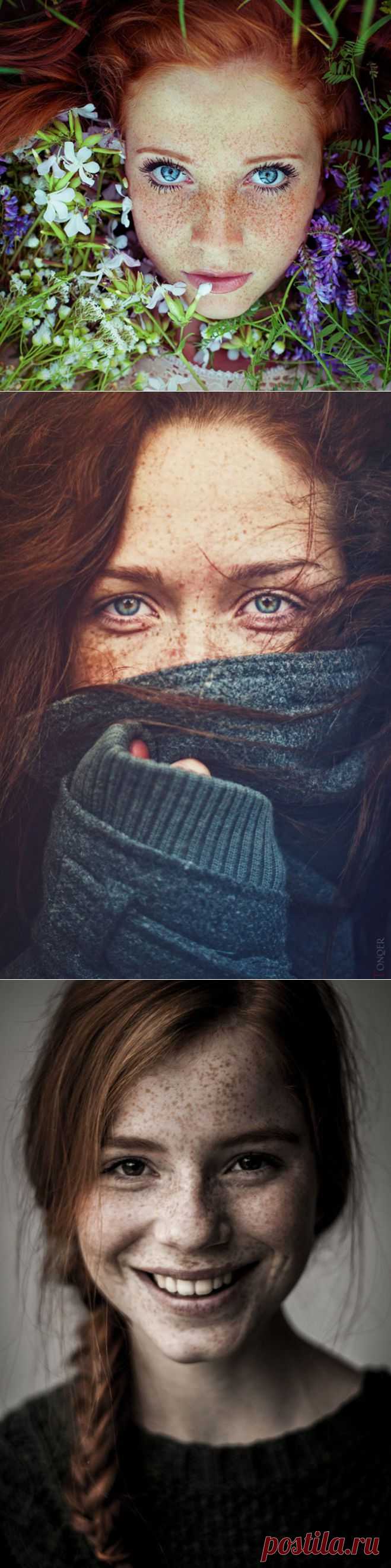 Всё о женщинах