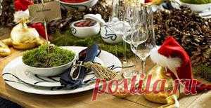 Что приготовить на Новый год 2016: быстро и вкусно