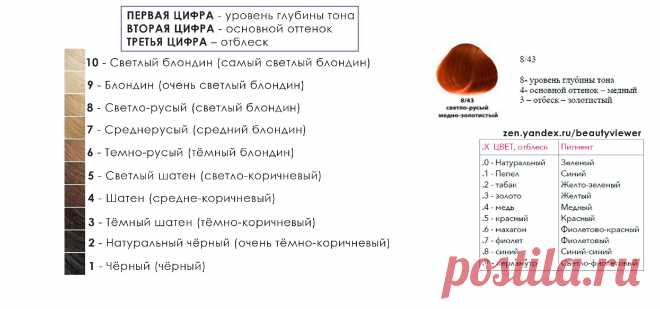 Всё, что нужно знать про седые волосы и их окрашивание: коротко и простыми словами | beauty viewer | Яндекс Дзен