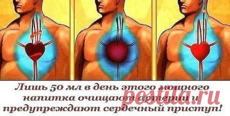 Домоводство • Энциклопедия современной женщины