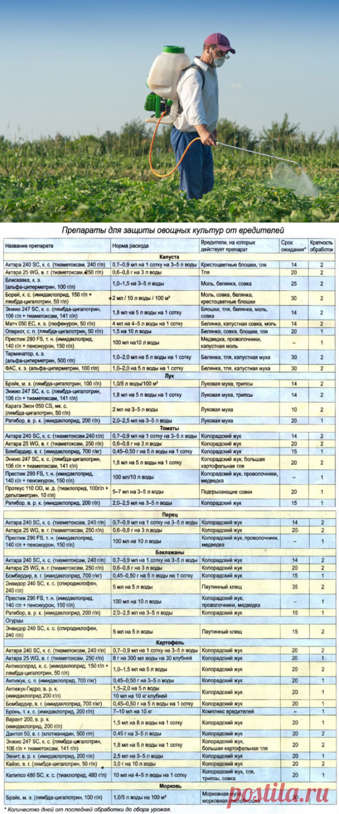 Опасные вредители огородных культур