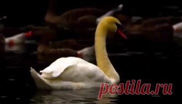 Сергей Сухачёв 