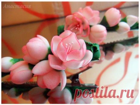 Фотографии на стене Анастасии | 716 фотографий