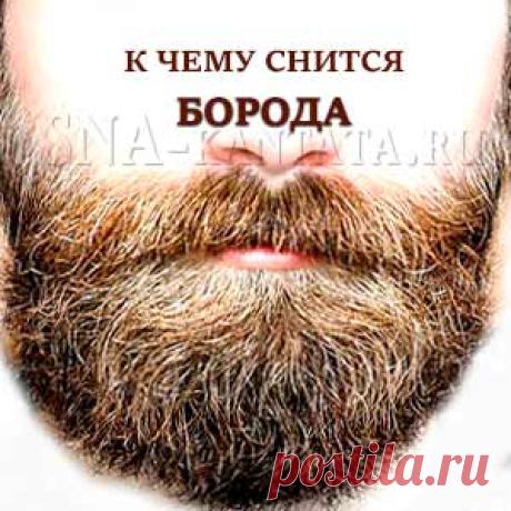 Борода приснилась. Значение сна