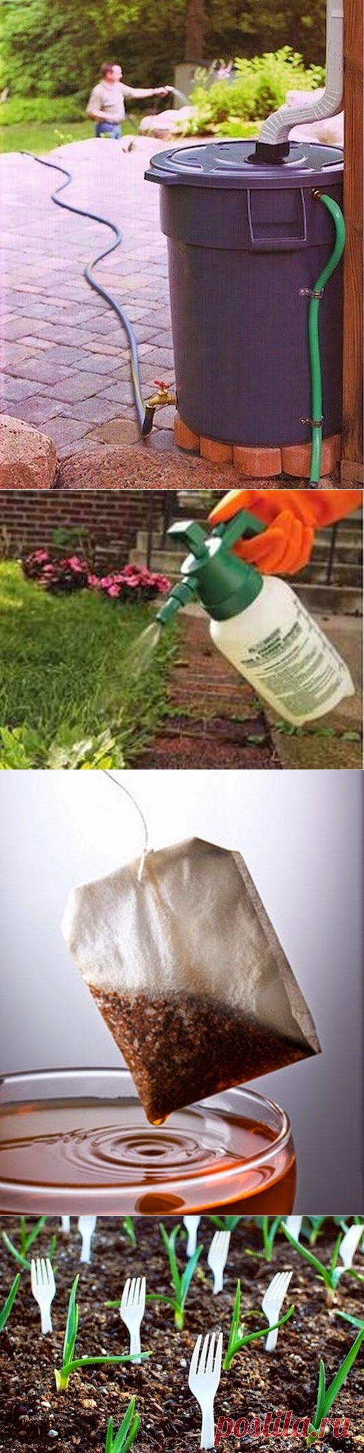 С этими советами твой сад станет лучшим в округе