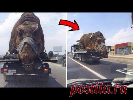 Они Живы! 10 Динозавров Снятых На Камеру - YouTube