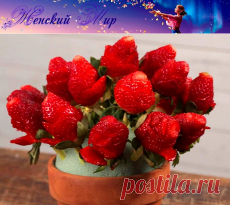 Букет роз из клубники - красивый подарок для женщины &amp;raquo; Женский Мир
