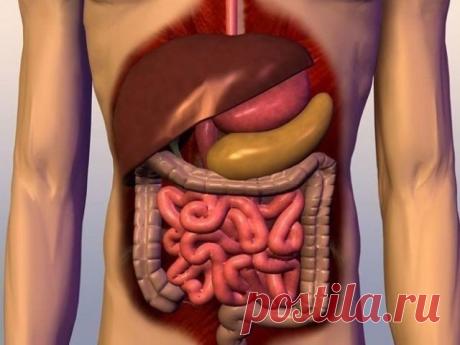 Как очистить кишечник
