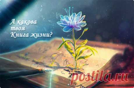 Люби жизнь! 20 цитат - читать на сайте Мир позитива