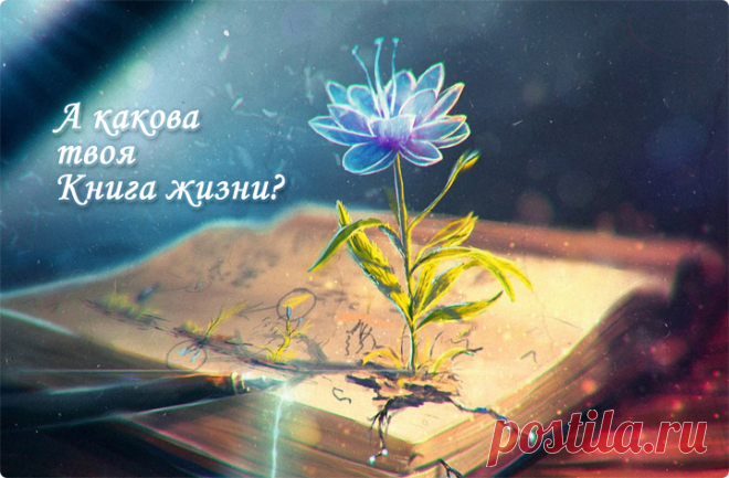 Люби жизнь! 20 цитат - читать на сайте Мир позитива