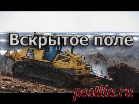 Вскрытое поле - АКА Сигнум 7272 мфт- куча находок! - YouTube