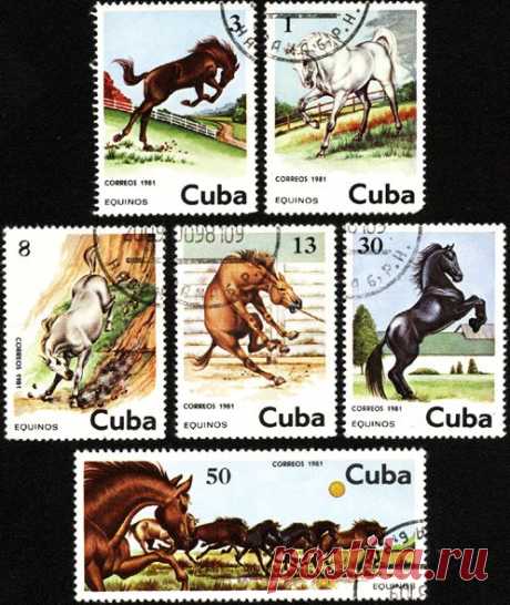 cuba-stamps-1981-horse.gif (497×590)