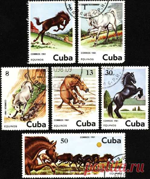 cuba-stamps-1981-horse.gif (497×590)
